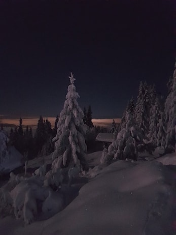 Godt nyttår !